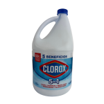 CLOROX REGULAR